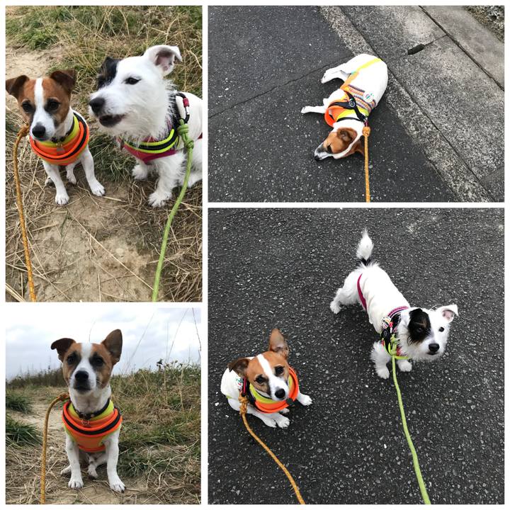 F914805e ed5b 426f a9d5 5675c7bb19d1 1511770064799