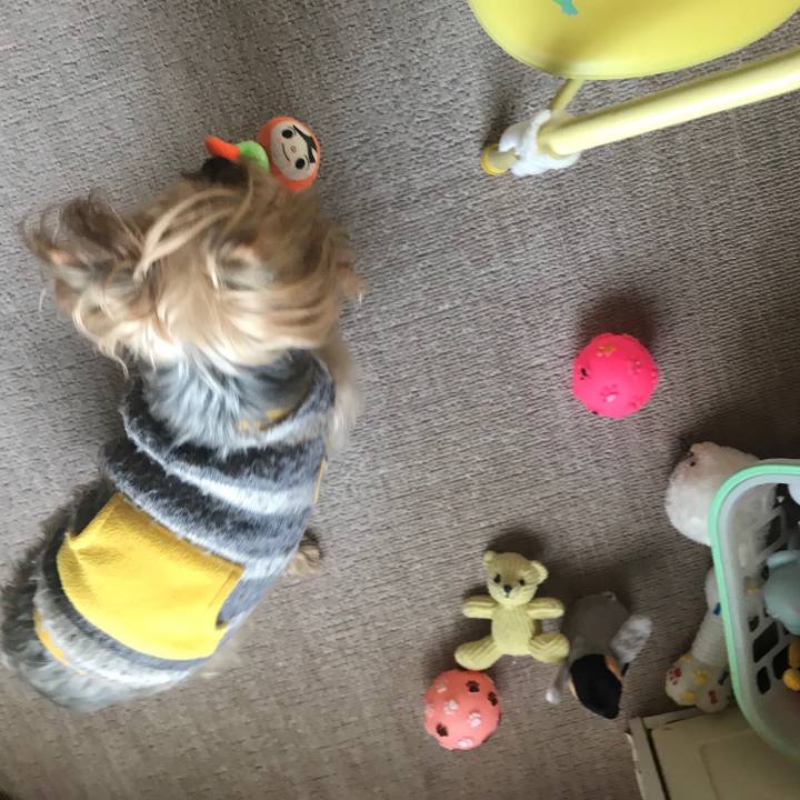 F91487f1 6a03 4bec 9d18 64d29961e6df 1556183898696