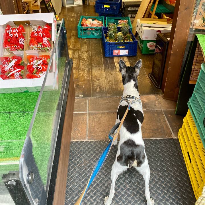 F91489ad 6fee 417f 8e04 dd2c50ec8af3 1621127041633