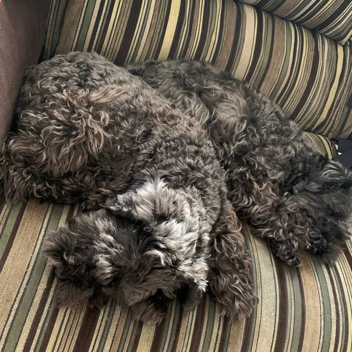 F914b152 24d7 453c 97a3 82202da00a8b 1606702965450