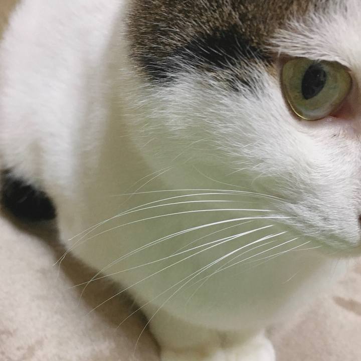 F915040c 3eb1 4d5a aaea 71ad1c416d74 1578228340577