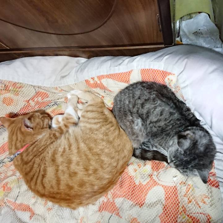 F91514d0 9276 41c9 ae21 143f20cb908d 1571058279395