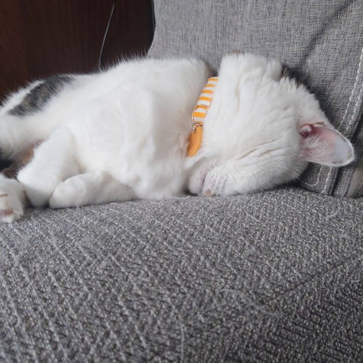 F9151f05 f1ed 4328 bc0c 49ad8fbff972 1626578993244