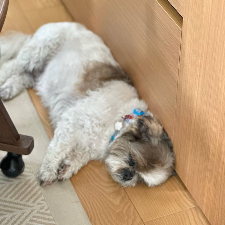 F91522f0 b94b 4db4 8d38 392d294e82f4 1686713239098