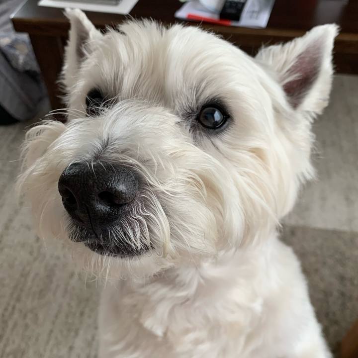 F915613c 0565 400d 81db 93a043b3197d 1591020610027