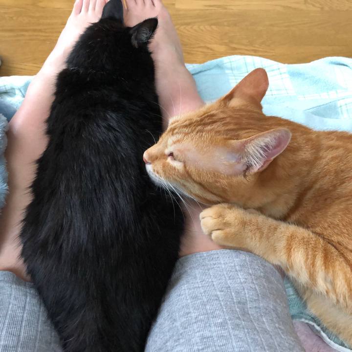 F9159002 8a31 470d a6d2 a92ff42250f6 1566215550443