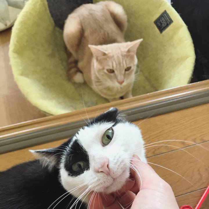 F915ac09 34e1 4211 a538 7ba1430ee4cc 1592805580079