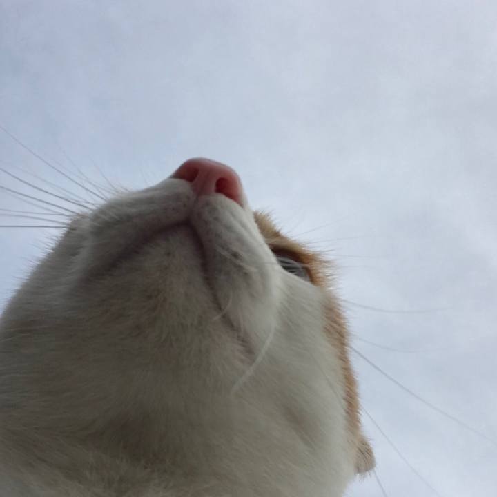 F915c5a6 8701 45de 9448 e6db5b8053b1 1514686080090