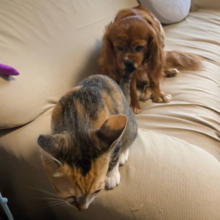 F915e62d 01bb 4598 a915 4e1ab6de55a7 1655935694133