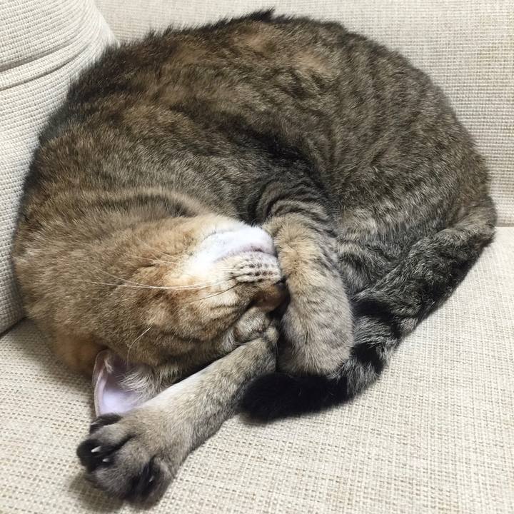 F915e888 32b5 483d ba2a 16630c9f78c7 1662366864869