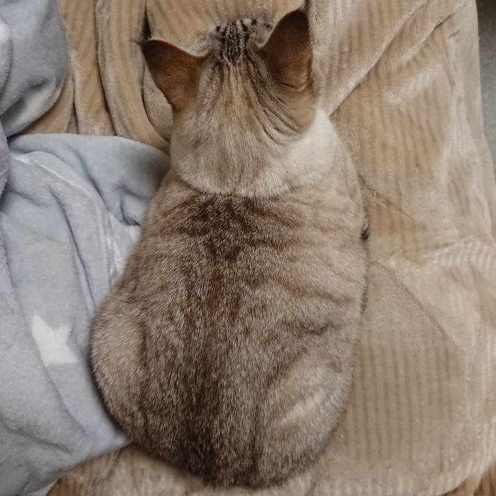 F915f66a b444 49c9 a276 57118cba087f 1544542548325