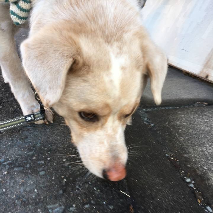 F91600d5 0bed 4d94 b902 e2b713bcf9e4 1514762394699