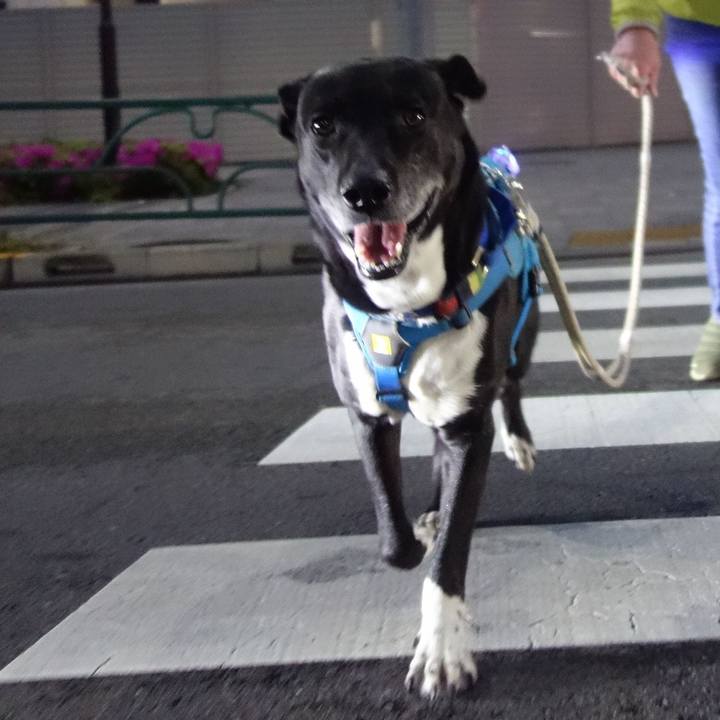 F91615e9 1b45 45f3 91af e184b48f927d 1682507917170