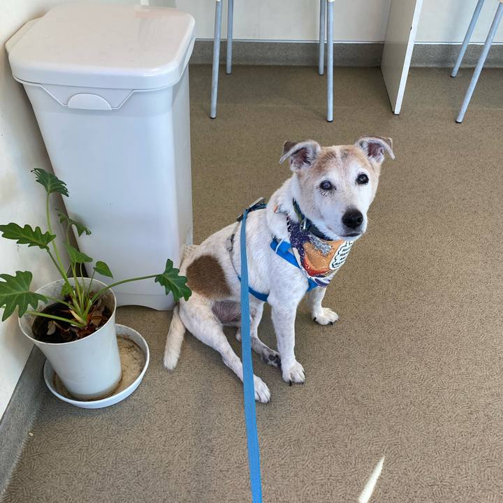 F91635ea ce55 412c a1fa e8c5cefee5fa 1693704213272