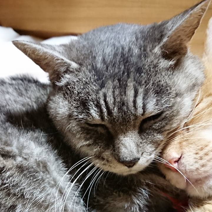 F9164157 a87c 41eb b73a 71416f13c22a 1573995943432