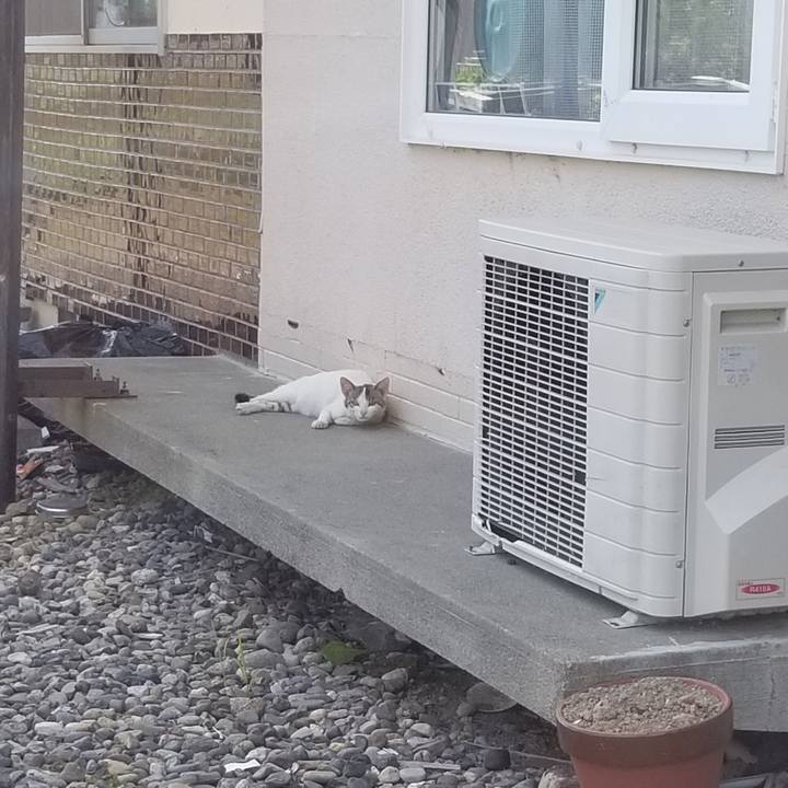 F9164546 413e 424e a468 091e9b98aeb4 1560494783044