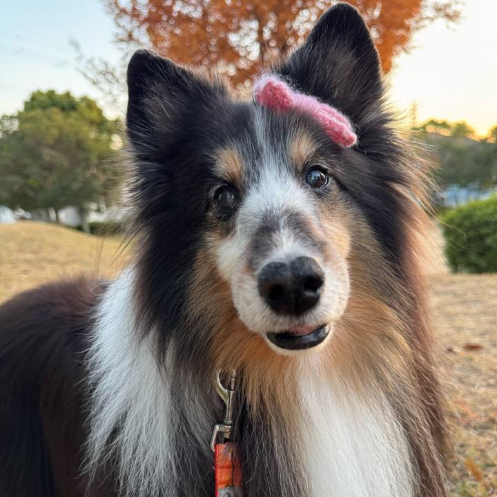 F9164790 98a6 4b7b bddc 82597d964a1e 1763829880987