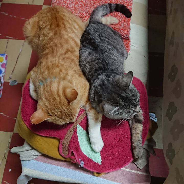 F916aa89 c790 4fb2 b15e f3f782f2c896 1557273751503