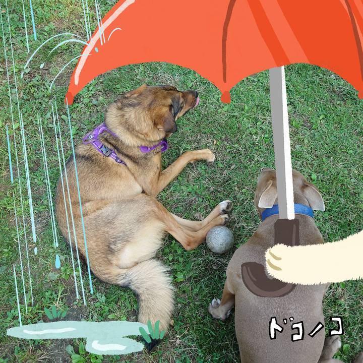 F9171296 d95c 4517 8d09 2cc5179df5d3 1749258937655