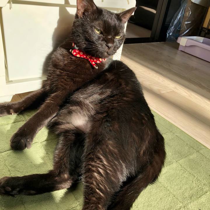 F91714e4 d8d8 4077 b643 46835907641b 1628116319080