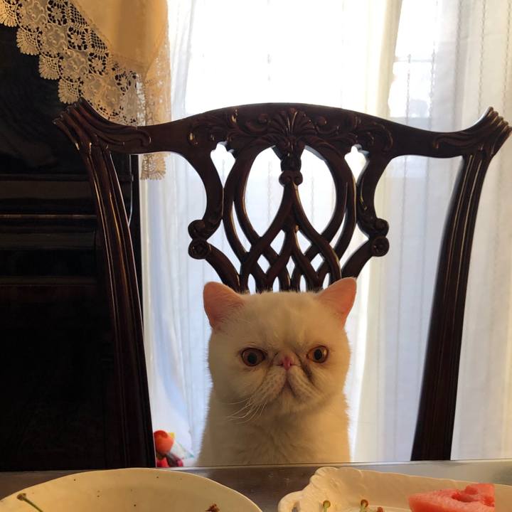 F9172c03 79d0 4603 aa42 1f9db960b7ef 1657333339249