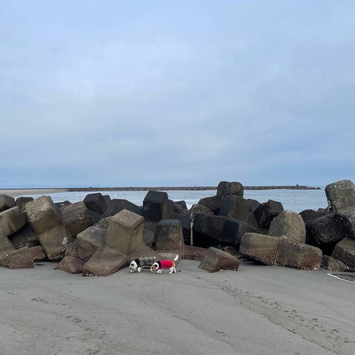 F9173bdc 01d4 4683 90d2 e4fbb3a8d0b1 1708817977106