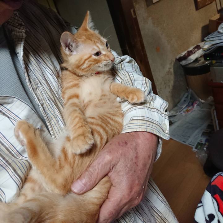 F9175567 09fc 4ade ae89 d631a44880d5 1632915350987