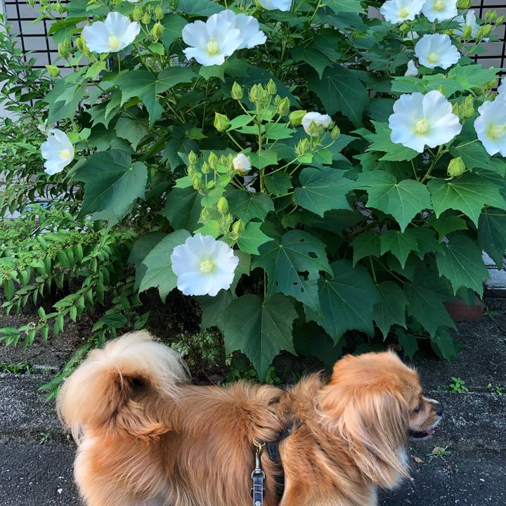 F91760f6 1137 4e10 a1ee b54ebee04d95 1564695444888