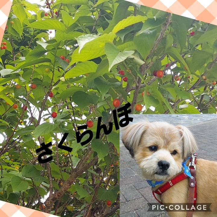 F917ff19 9f29 4bcd 9ed8 7d5c0c25a57c 1619087714005