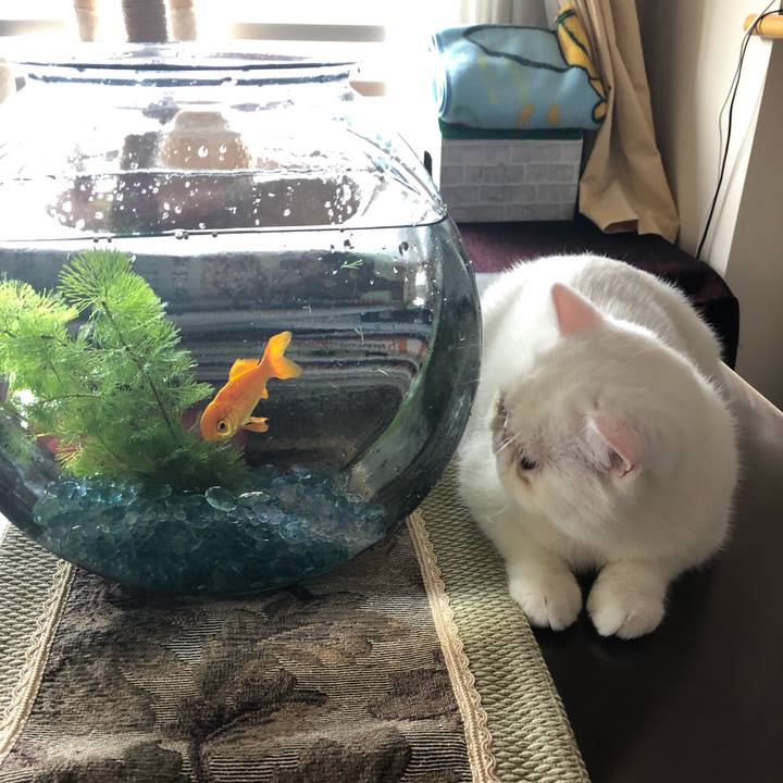 F91804c6 4e7f 4b85 b727 31831e72d3f5 1572755942488