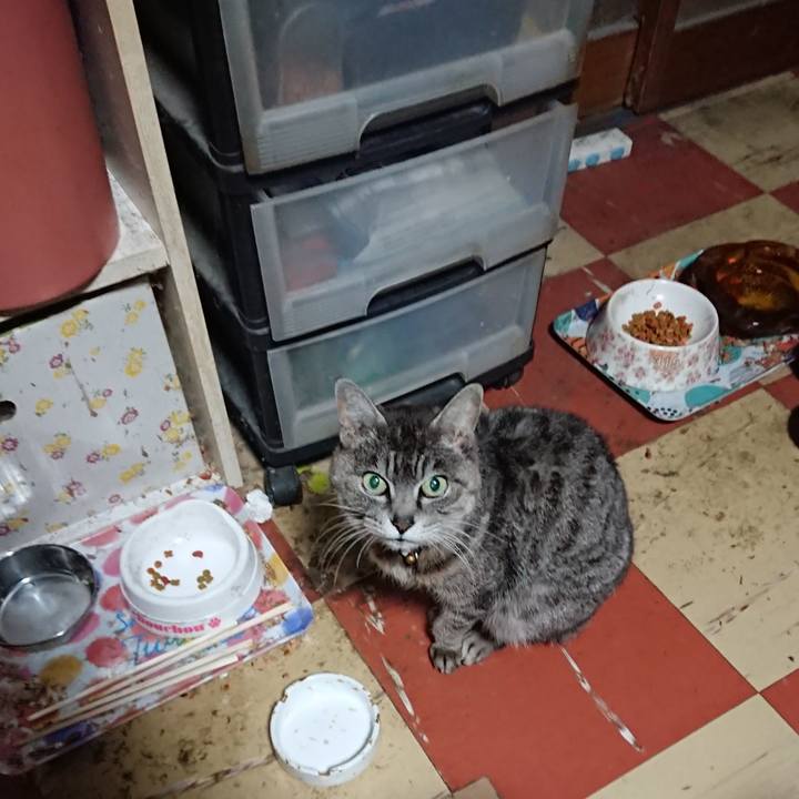 F9187808 b527 4777 a243 98d713aace94 1585255491393