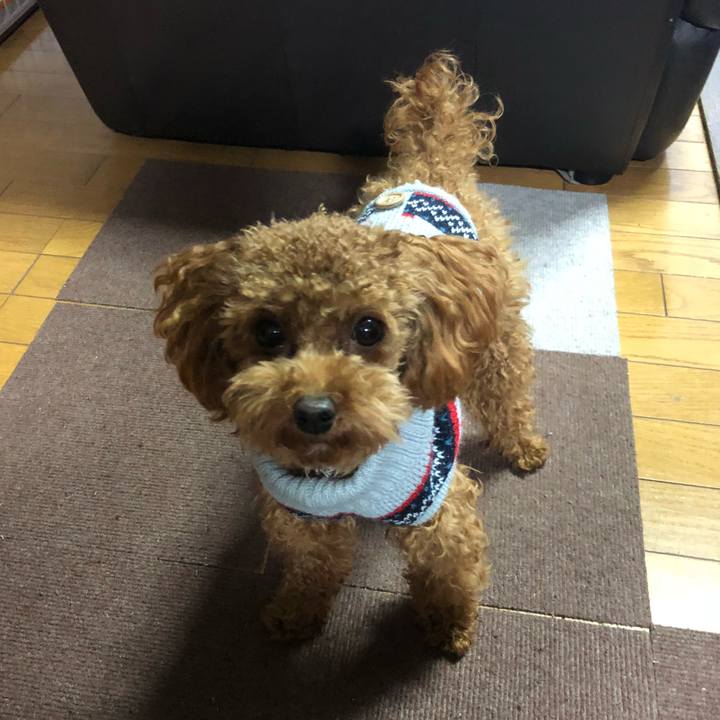 F9187e41 409f 4890 a744 400053138e9f 1512804063498