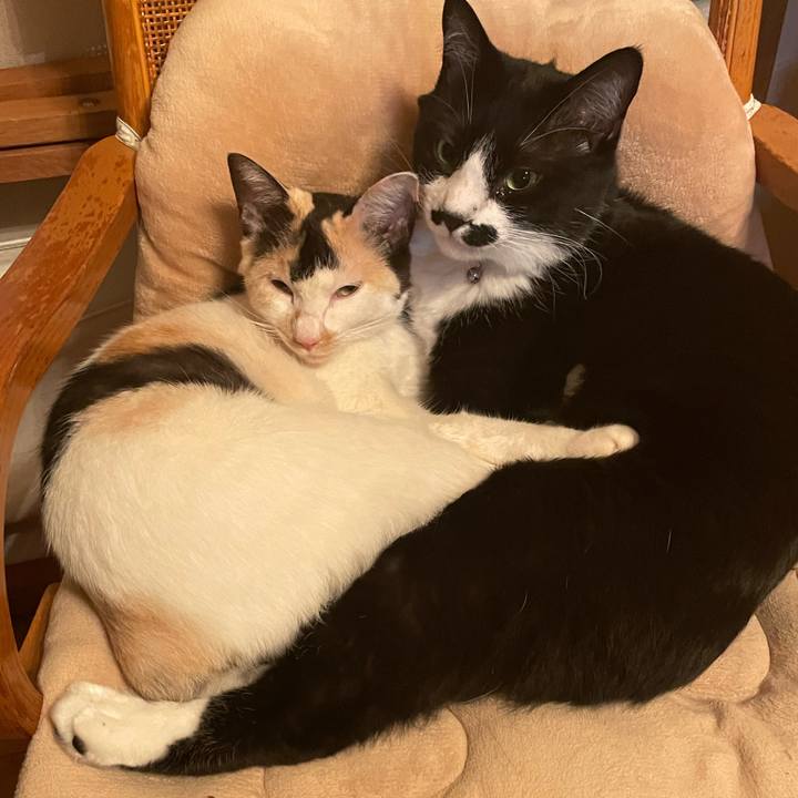 F9188ad3 81d8 479c ac6d 7bc7ad1dba51 1683633295218