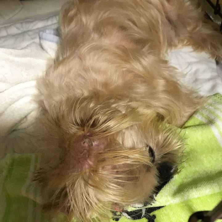 F918f7ec edb4 4184 88a8 88c37cd9361b 1600512717369