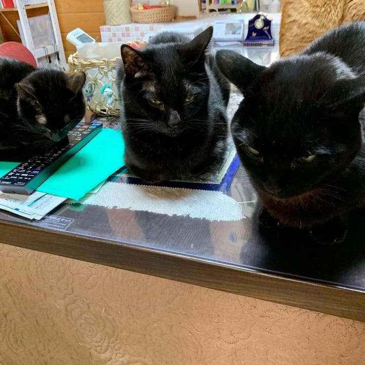 F9191fe5 ca63 456d 86d1 47398ac16589 1643783310494