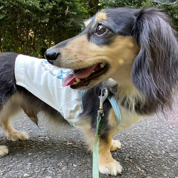 F9192864 4a16 4a46 a692 623866fa3cbb 1753400491725