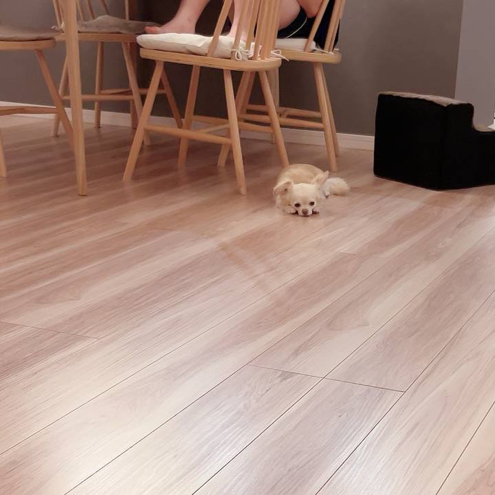 F9192e74 777d 434a b2fb 337ff89bc3b0 1719923346531