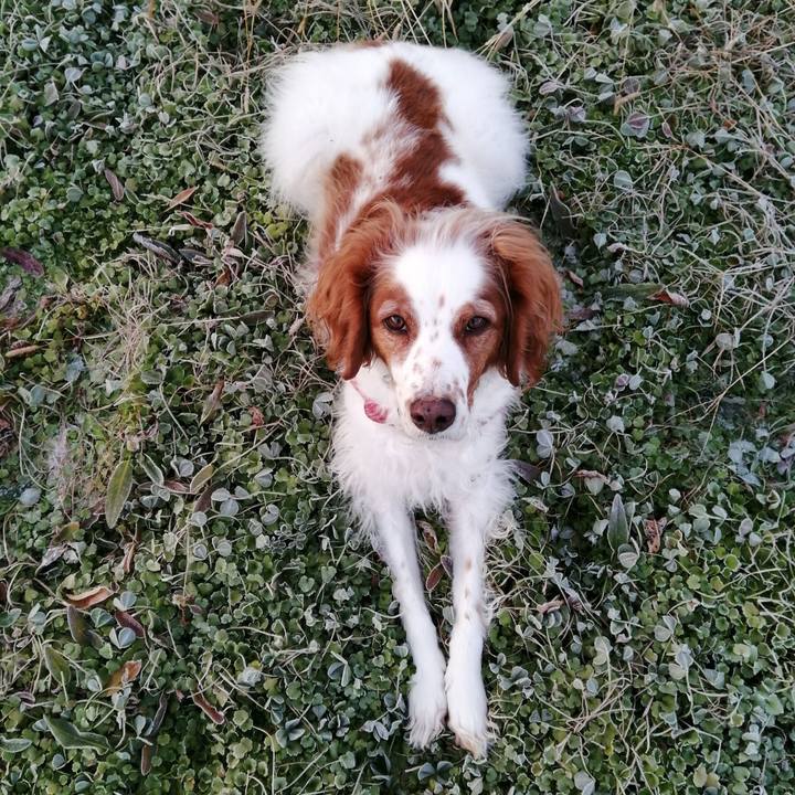 F9196cd2 1d4e 46fb 9591 266277a74601 1608506976666