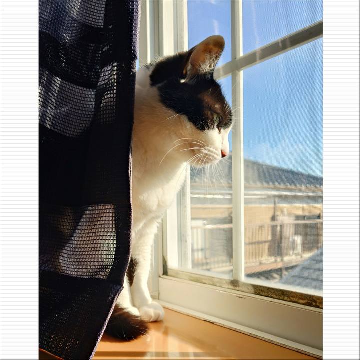 F919d9bf 380a 41ed b3c3 ccdf8525e7a5 1765858837447