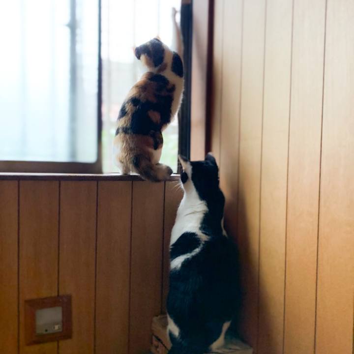 F919db45 31f4 4f71 a05d 7f21215c49a4 1576461412841