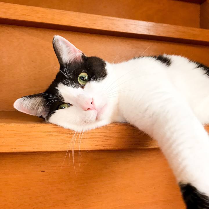 F91a1d2a 9503 4694 a960 bbe366774644 1530235891819