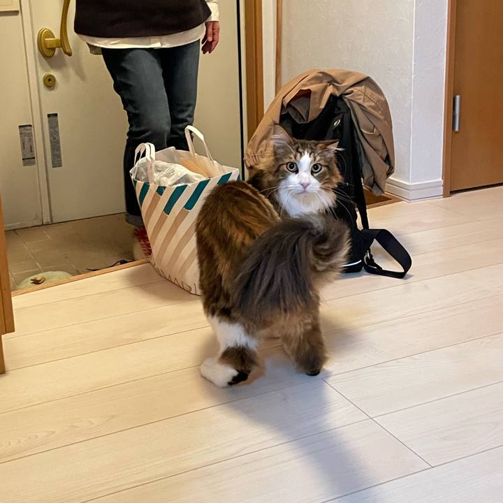 F91a23fb f55f 453f 9256 74e50b226e7e 1665409248398