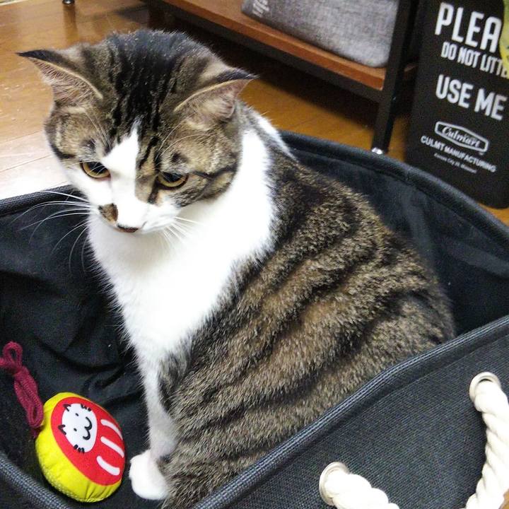 F91a3f2a 9601 4c4a 9c1d d53ca7916e28 1633607623562