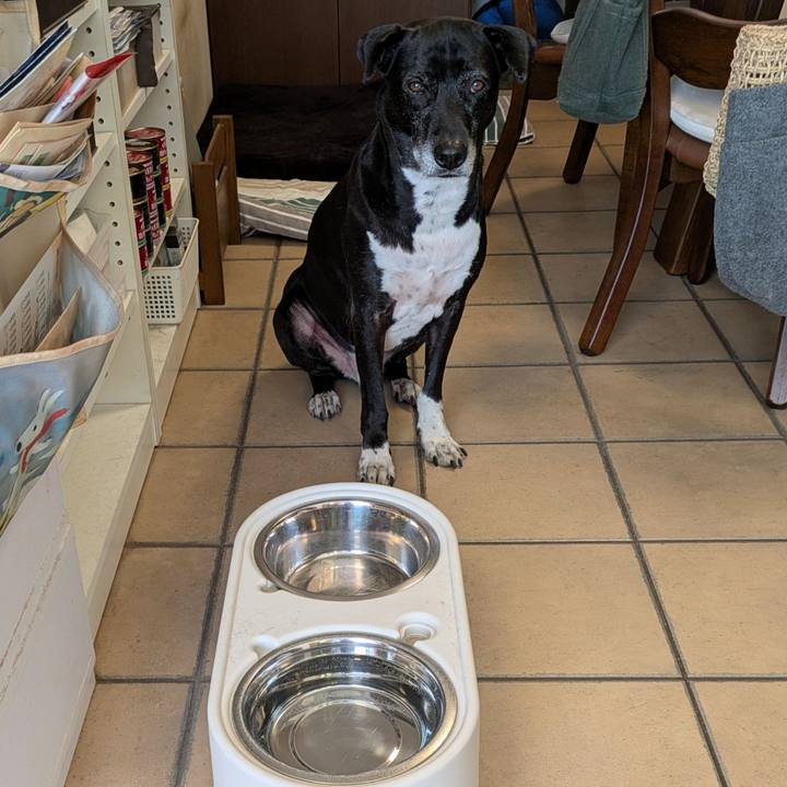 F91a98b6 830c 4bd6 be2f f9ecfb2548ac 1735692641703