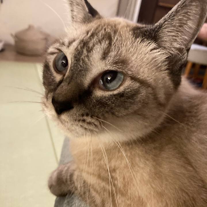 F91ac01b 3d08 48f4 8e49 a24b01a4ca7b 1633220958444