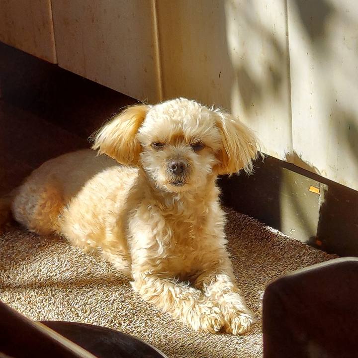 F91ae6d8 3251 4749 89b7 b2e8edcd9613 1676611338578