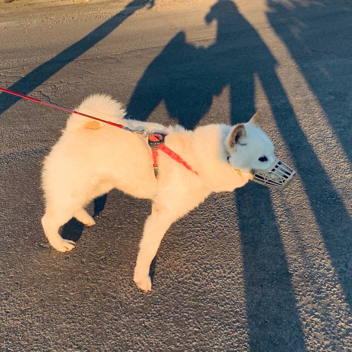 F91b1a00 d010 4e2c b65f 6a2eaaf267cf 1590870678399