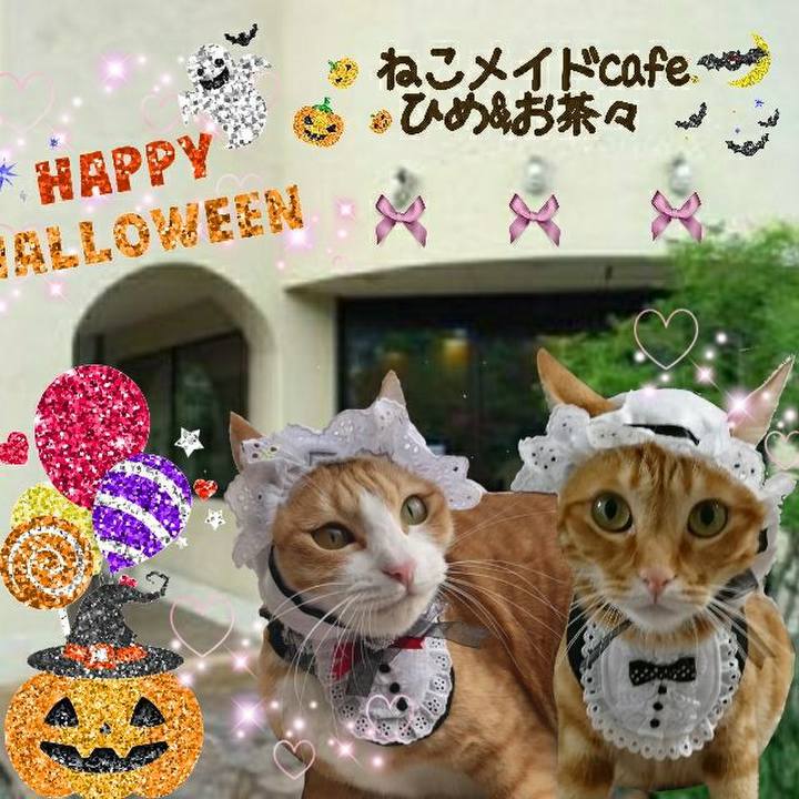 F91b4855 37fd 49b9 b194 ab6413c1afa5 1540942550244