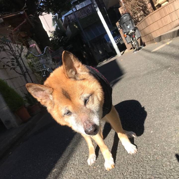 F91b6a63 0574 426c a906 ec0686f5b6db 1546136707214