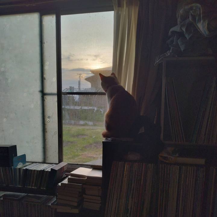 F91b76ac 5da6 4707 975d 1316b887f89c 1749246499603